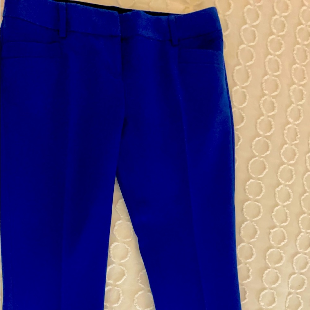 Dress pants
